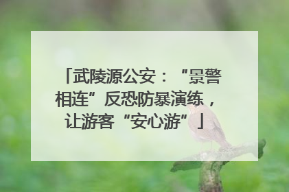 武陵源公安：“景警相连”反恐防暴演练，让游客“安心游”
